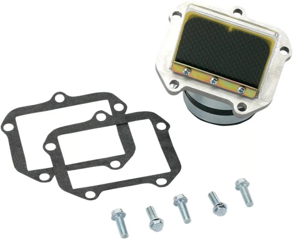 Conjunto de jaula de caña de doble etapa/compuesto de fibra de carbono con válvula de rueda Boyesen RAD42B Foto 2 de 4