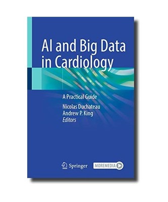 AI and Big Data in Cardiology: A Practical Guide