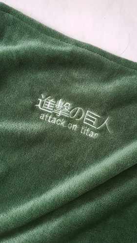 Attack on Titan Deckenumhang Shingeki No Kyojin Survey Corps Umhang Weihnachtsgeschenk - Bild 5 von 18