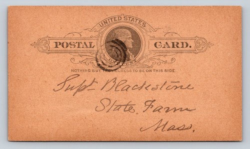 ANTIQUE c1890 Postal Card: To State Farm MA, Be There Sunday, Weather Permitting