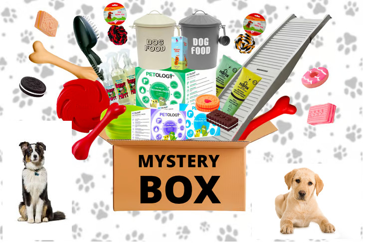 Sorpresa BOX Cane Cuccioli Scatola MYSTERY Collari Accessori Giochi Pezzi 5