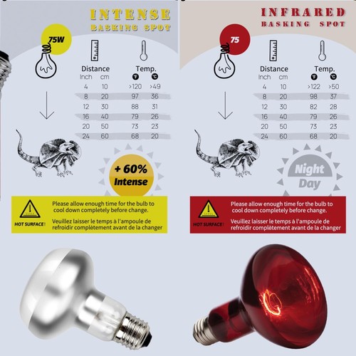 Reptile Heat Lamp 2-Pack 75W Day and Night Basking Bulb Light for Reptiles - 第 2/6 張圖片