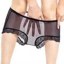 Lace Panties Plus Size Mid Waist Sheer Mesh Briefs Underwear Comfort Fit Women