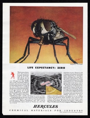 1944 Hercules Life Expectancy Zero Thanite Housefly Insecticide Spray Print Ad