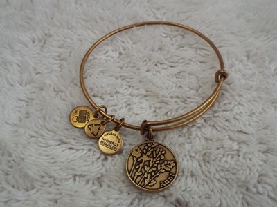2015 ALEX and ANI Brasstone Aunt Charm Expandable Bangle Bracelet (D34)