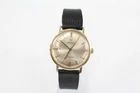 Omega Seamaster Watch Automatic Working