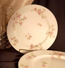Rare 3 Theodore Havilland Limoges Schleiger 66b Dinner Plates PERFECT!