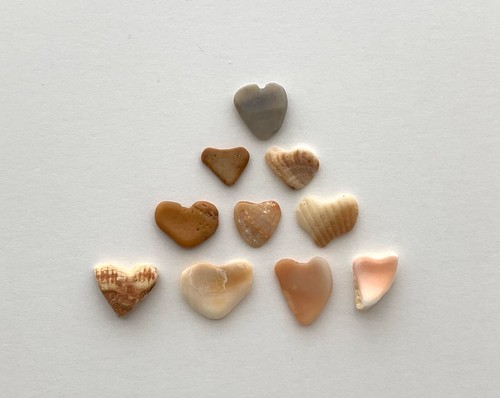 10 Fragmentos Naturales ❤️En Forma de Corazón Conchas de Mar Amor Guijarro Artesanía #S1B - Imagen 10 de 17