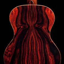 Cocobolo Tree Seeds for Planting Highly Desired Lumber for Fine Woodwork