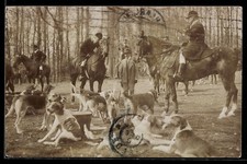 Foto-AK Jäger zu Pferde mit Hunden 1912 