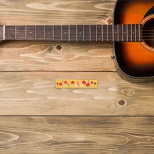 Wooden Harmonica for Kids Toddler Musical Instrument Fruit Pattern Easy Play Beg