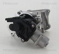 Triscan Agr-Ventil U.A. FüR CitroËN, Ford, Land Rover, Peugeot