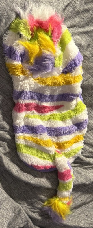 Colorful Zebra Hoodie Dog 90’s Costume Hyde & Eek! Boutique Halloween XS