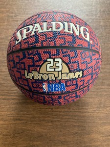 lebron james mini basketball