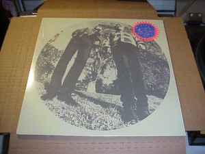 Lp Ty Segall White Fence Hair Sealed New 781484050315 Ebay
