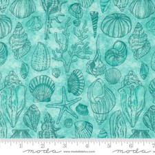 Moda SERENA SHORES 48774 21 Aqua Quilt Fabric By The Yard - Robin Pickens