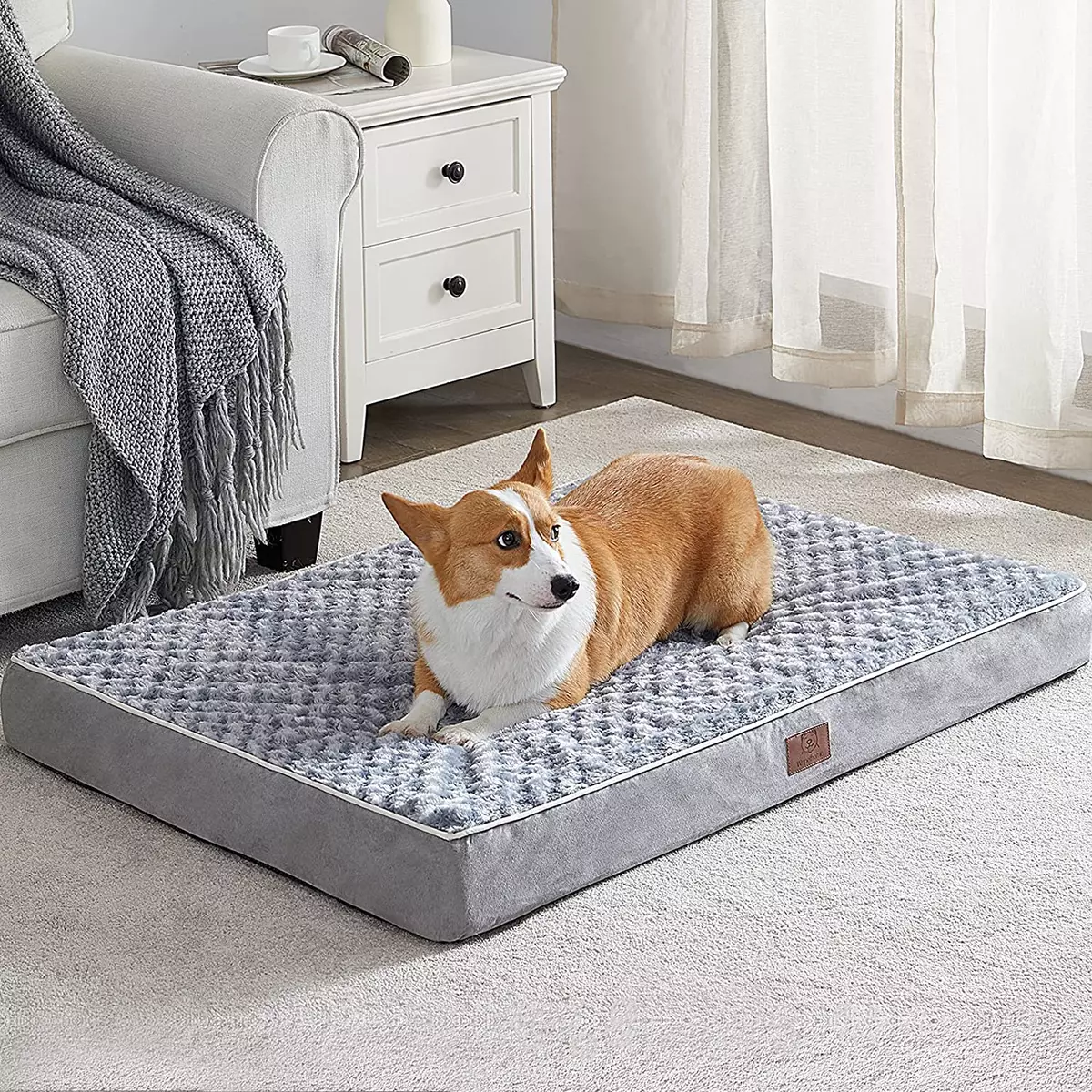Orthopedic X Large Dog Bed Chew Proof Dog Bed for Large 42 X 30 X
