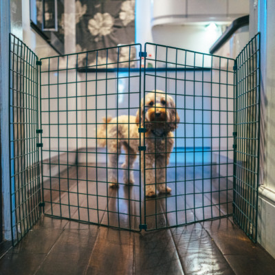 Indoor Dog Fence Folding Mesh Gate Barrier Door Portable Room Hallway ...