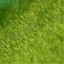 thumbnail 4 - Fake Lawn Artificial Grass Dollhouse Miniature Ornamen Craft Fairy Garden Decor