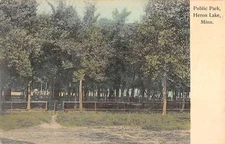 Heron Lake Minnesota Public Park Street View Antique Postcard K55842