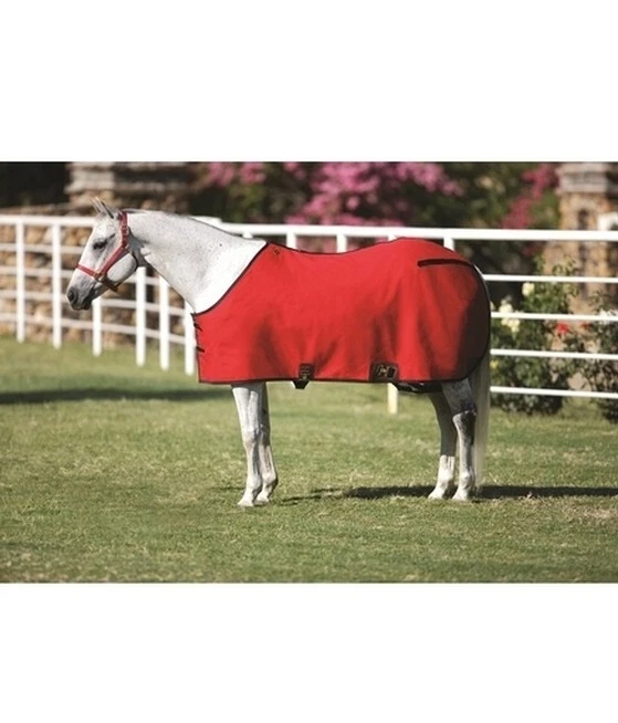 Big D Nylon Neck Hood - Taille Small - Neuf, Jamais Porté