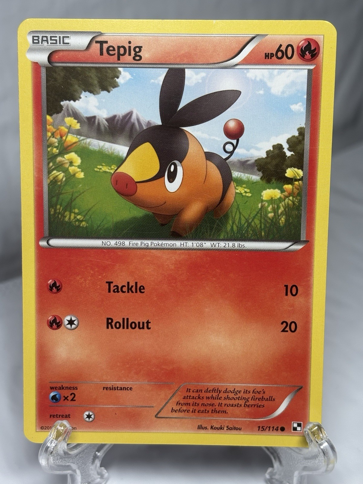 Tepig 15/114 Holo Pokemon Card Black & White 2011 LP
