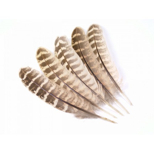 Hen Pheasant Wing Quills, Fly Tying Feathers, For Making Fishing Flies
