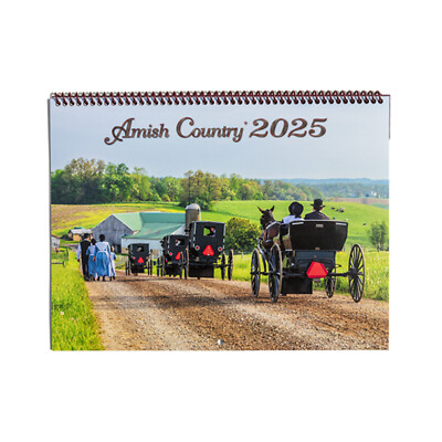 Doyle Yoder Amish Country 2025 Wall Calendar, 12 x 18 inch, Scenic Rural Photos