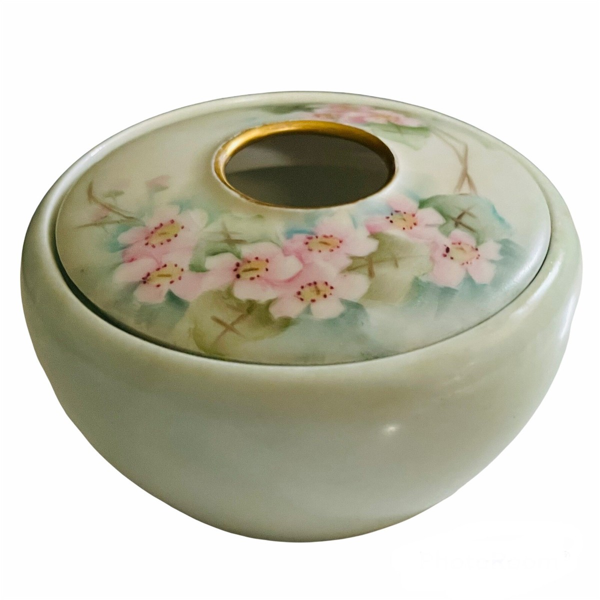 Vintage Hand Painted Wild Roses RS Germany Porcelain Hair  display picture 1