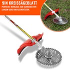 Bild 6 von 12
