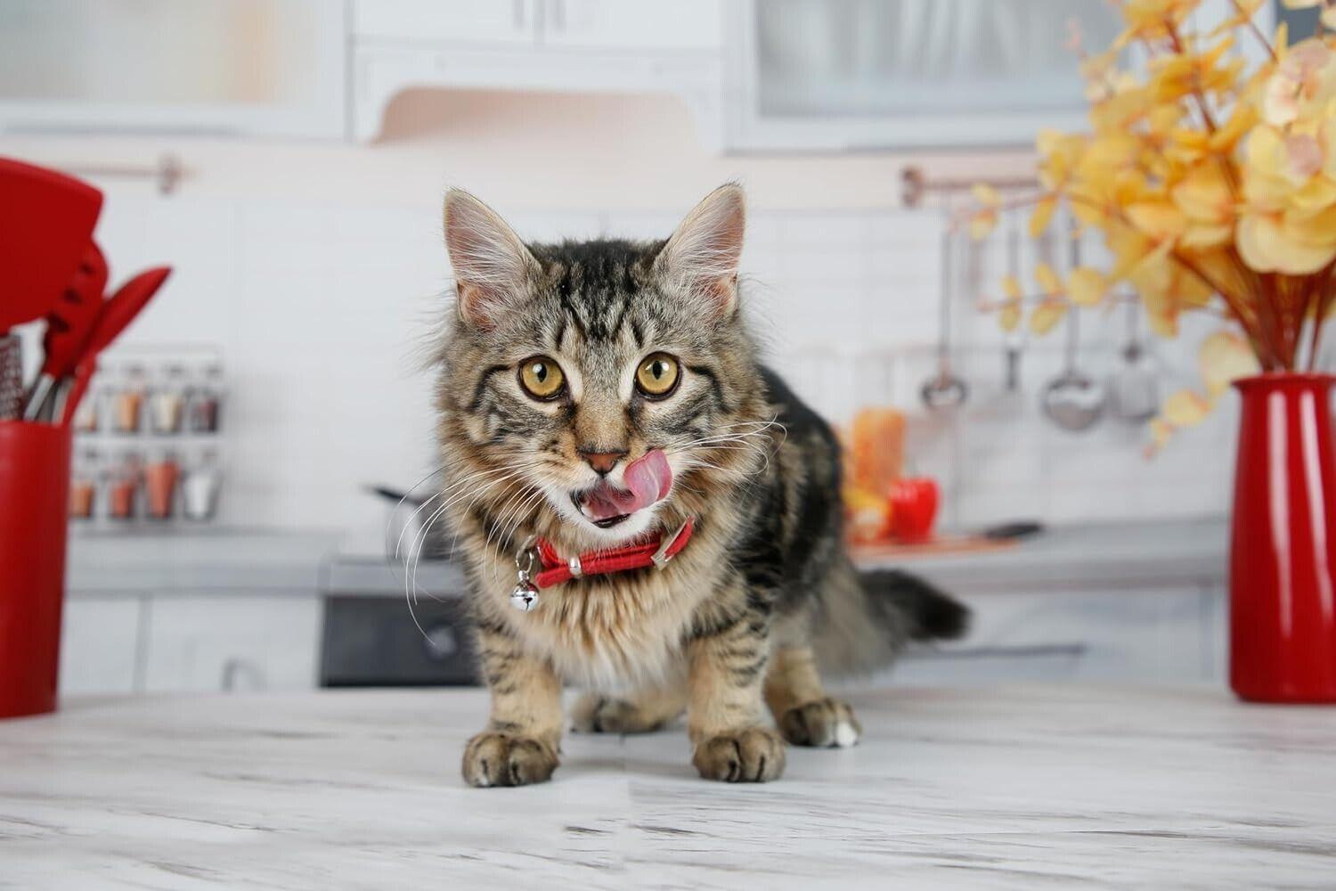 Hartz Hairball Remedy Plus Salmon Flavored Paste for Cats and Kittens