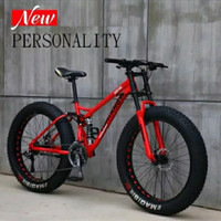 MOUNTAIN BIKE