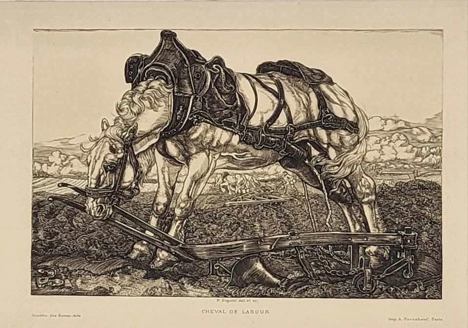 Pieter DUPONT (1870-1911) - Cheval de labour - Eau-forte originale - Photo 3/3