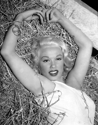 Actress MAMIE VAN DOREN Pin up Picture Publicity Photo Print 24x36