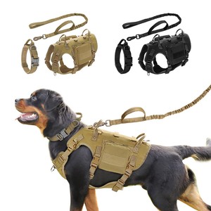 dog harness leash