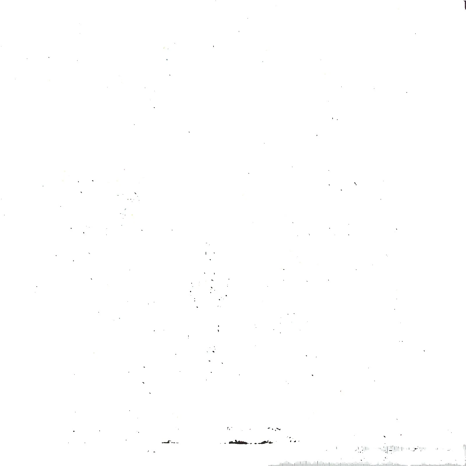 Tecido para artesanato Paisley Várias Cores