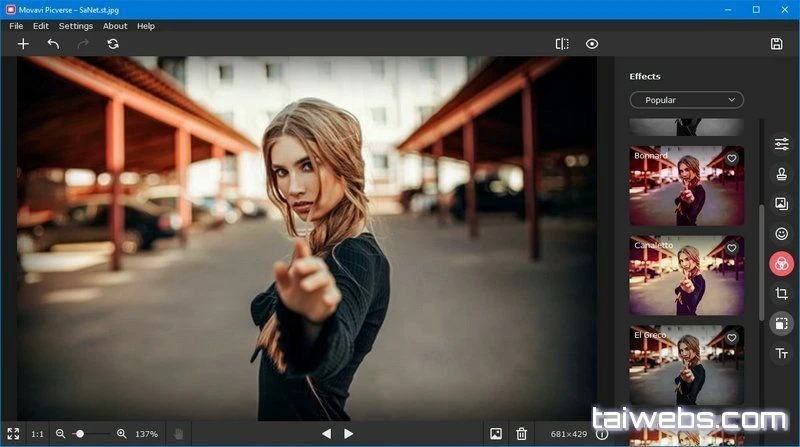 Movavi Photo Bundle, Photo Editor + Diashow Maker Lifetime - Bild 2 von 3