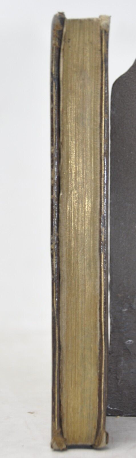 Photo 3/18