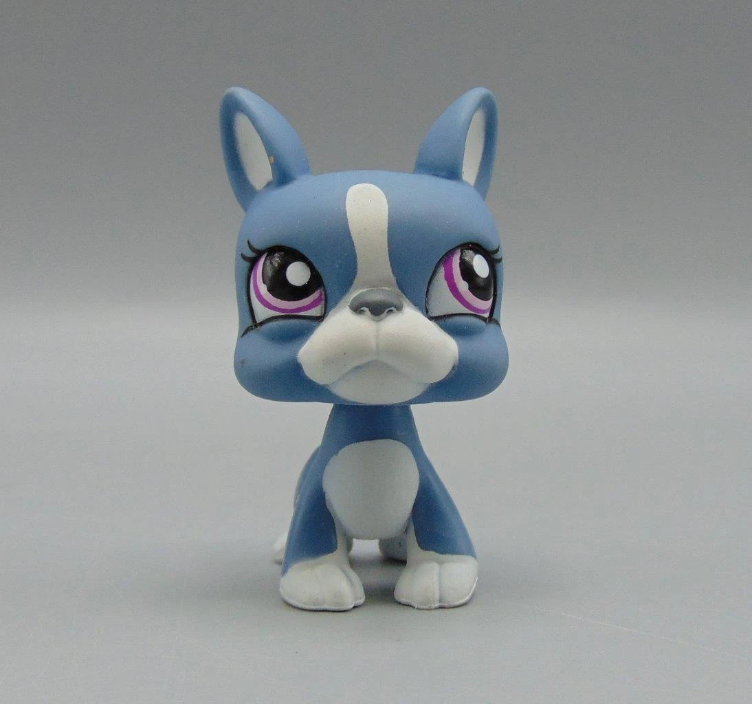 Littlest pet top shop boston terrier