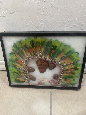 Amazonian Aymara Green Parrot Feathered Headdress w/ ceramic fetishes Neo-Inca