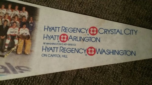 1982-83 Washington Capitals pennant with team photo - Picture 5 of 5