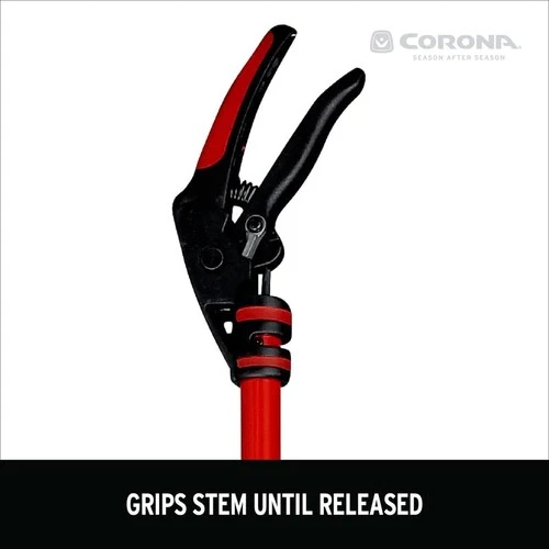 Corona CORONA-7015575 - Thumbnail 3