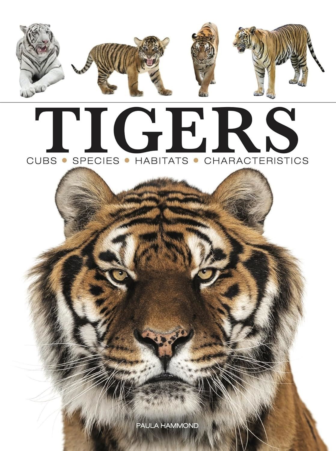 Tigers (Mini Encyclopedia) (Mini Encyclopedias)