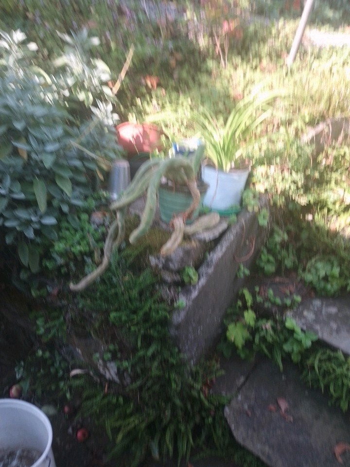 Bild 5 von 15