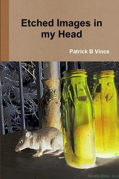 Patrick B Vince | Etched Images In My Head | Taschenbuch | Englisch (2014)-image