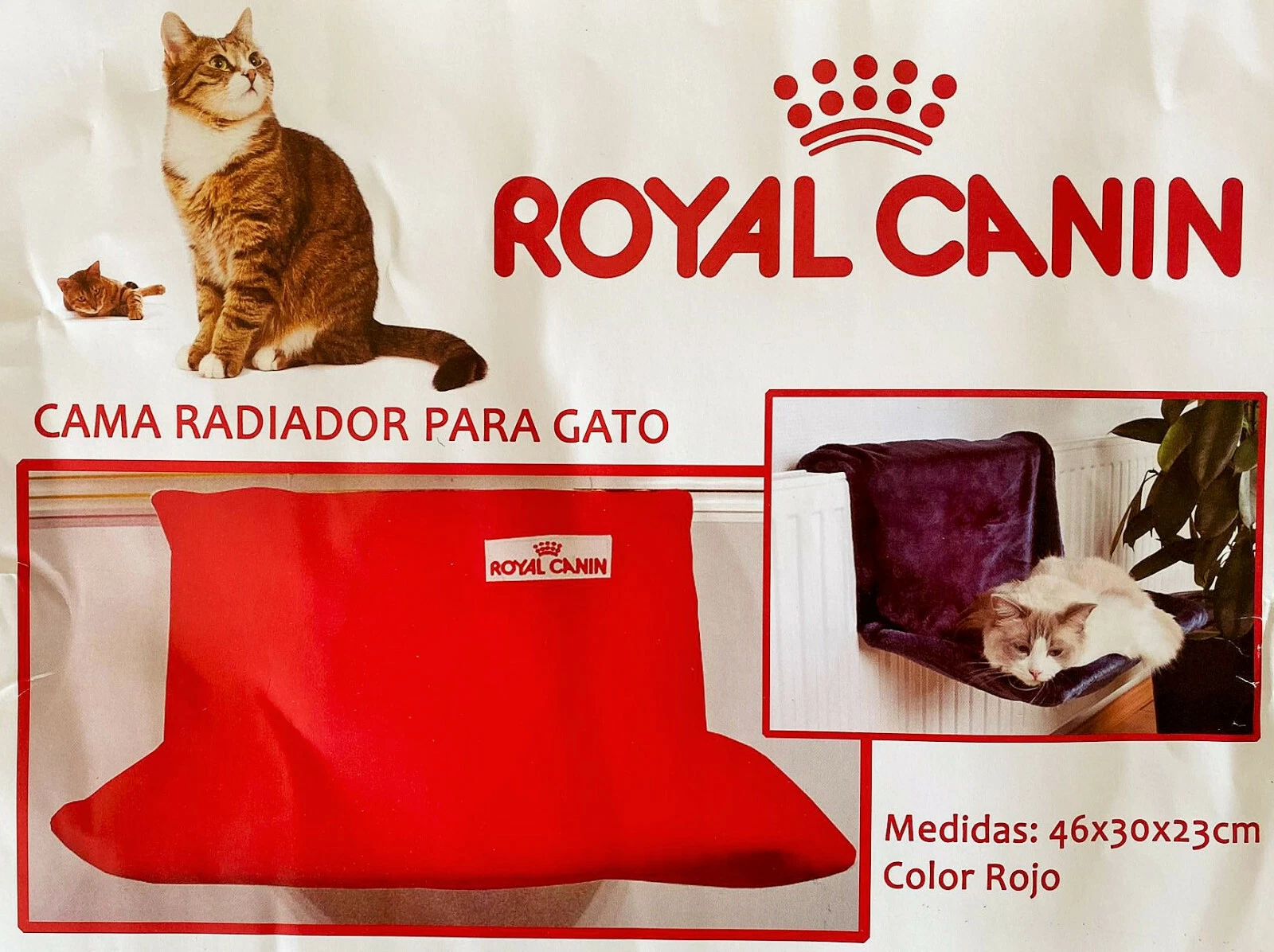 Imagen 1 de 1