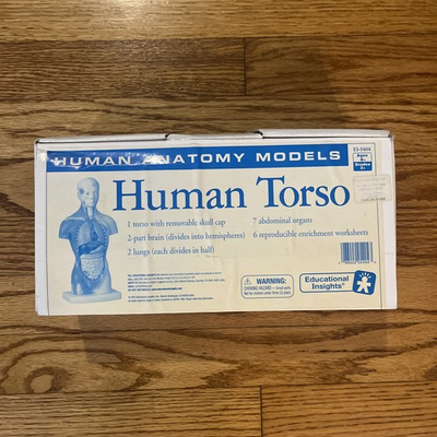 #ad EDUCATIONAL INSIGHTS HUMAN ANATOMY MODEL TORSO REMOVABLE 10 ORGANS HOME SCHOOL $44.98