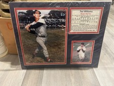 Legends Never Die Ted Williams Framed Photo Collage