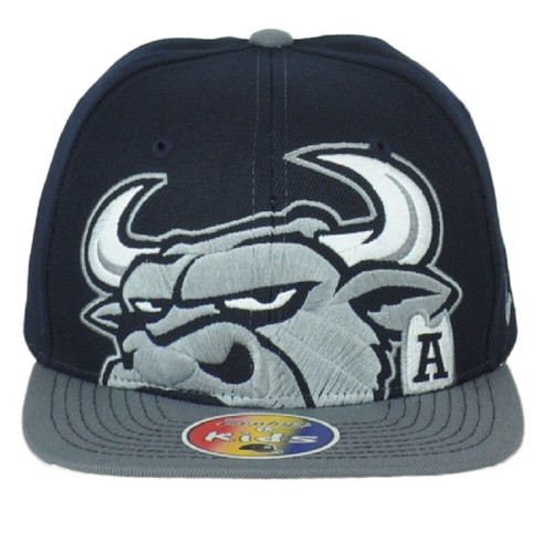 NCAA Zephyr Utah State Aggies Flat Bill 