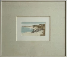 Frank Kaczmarek - A/P, signed colored etching "Lone Gull" with COA